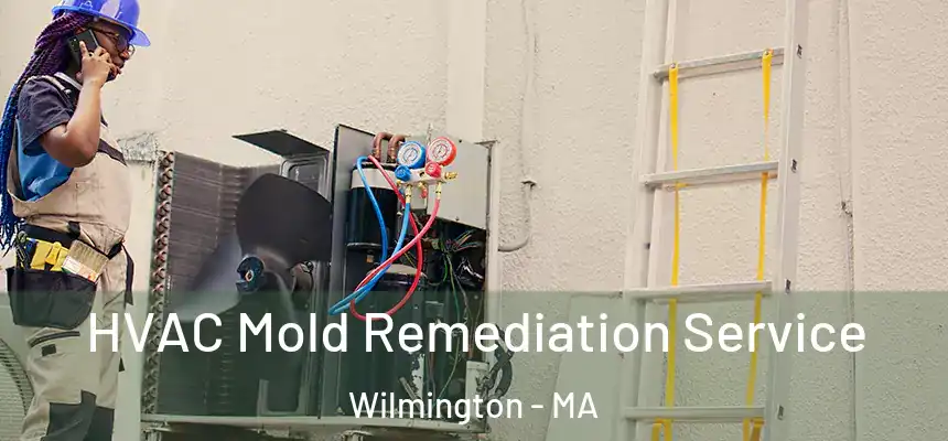  HVAC Mold Remediation Service Wilmington - MA