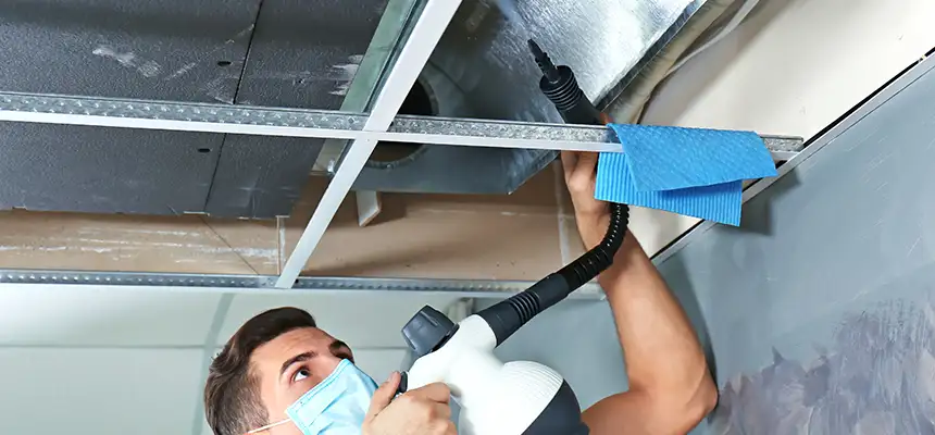 Our Air Duct Rodent Removal Services in Wilmington, MA