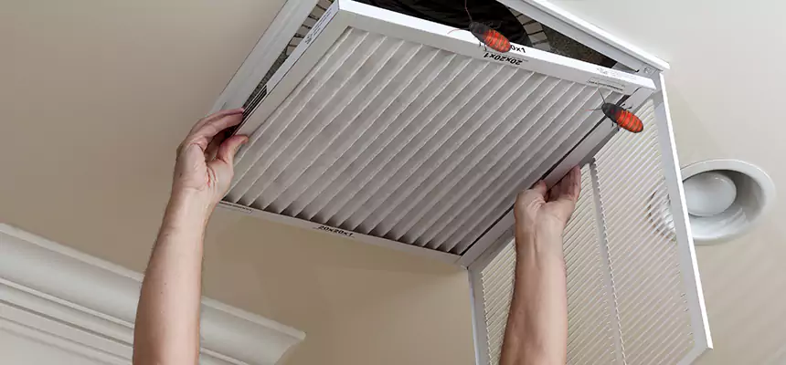 Our Insect Removal from Air Ducts Services in Wilmington, MA