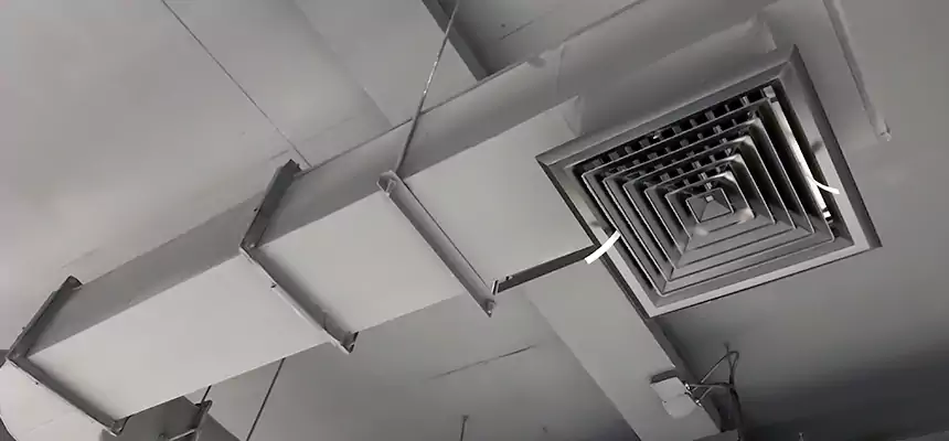 Our Pest Removal From Ducts Services in Wilmington, MA