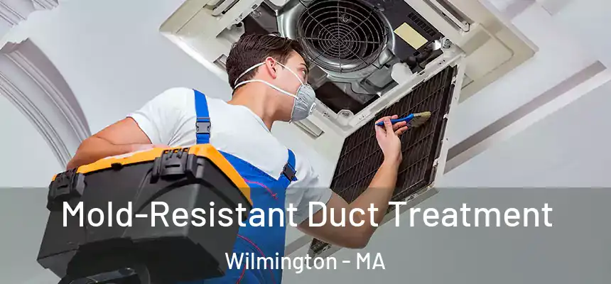  Mold-Resistant Duct Treatment Wilmington - MA