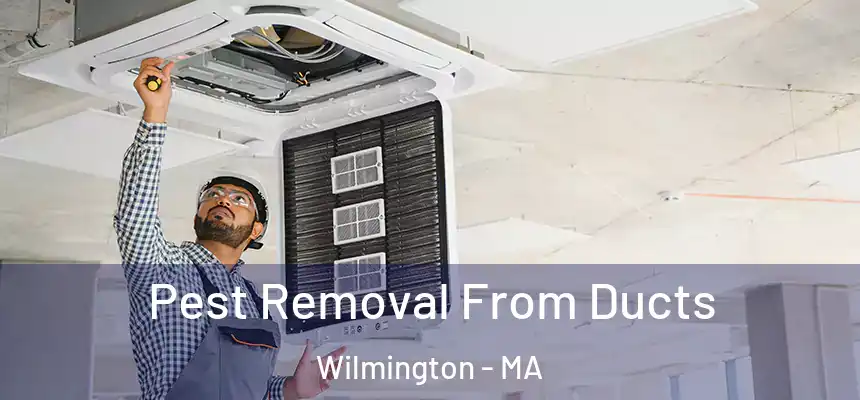  Pest Removal From Ducts Wilmington - MA