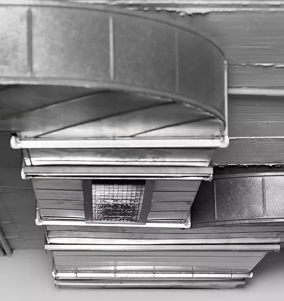 Professional Air Duct Pest Removal in Wilmington, MA