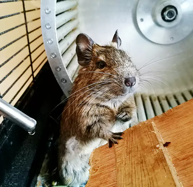 Why Homeowners & Businesses Trust Us Wilmington, MA?